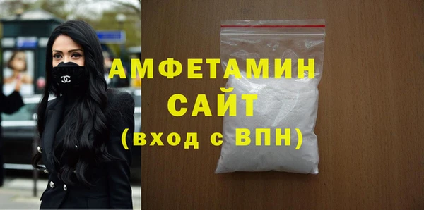 стаф Алзамай