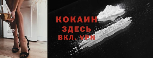 стаф Алзамай