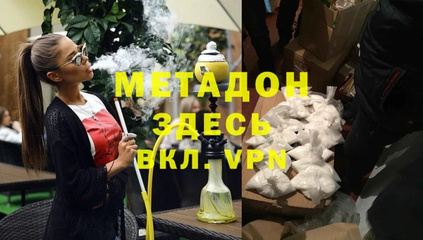стаф Алзамай