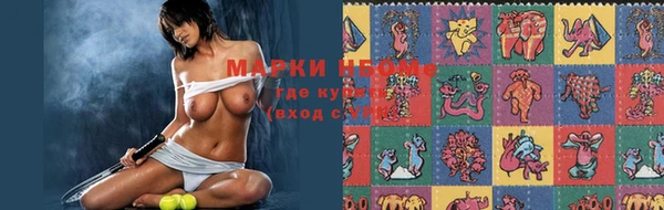 стаф Алзамай