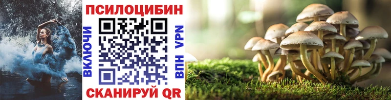 сколько стоит  Старый Оскол  Псилоцибиновые грибы мухоморы 