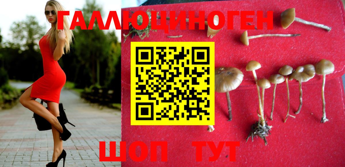где продают наркотики  Псилоцибиновые грибы Cubensis  Старый Оскол  Вход с VPN  Галлюциногенные грибы Psilocybine cubensis 